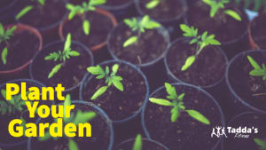 Plant Your Garden