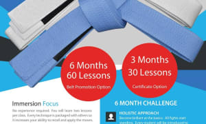 New White Belt to Blue Belt Program