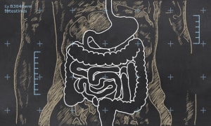BJJ & Your Microbiome