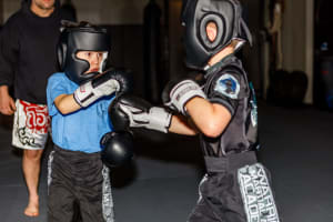 WMAA Sparring Session XI