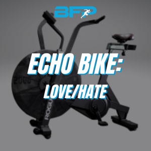 Echo Bike: Love/Hate