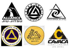 What Is The Best Brazilian Jiu-Jitsu Team Of All Time?