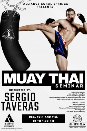 MUAY THAY SEMINAR