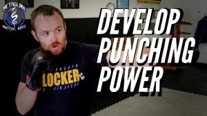 Develop Punching Power | Center-line Movement from Wing Chun