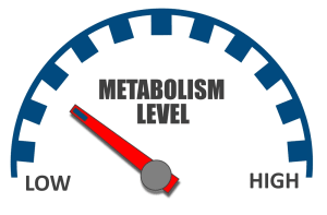 Metabolic rate increase