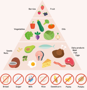 What Is Keto? 