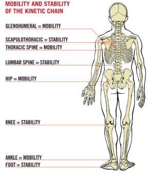 How is Your Stability-Mobility Chain?