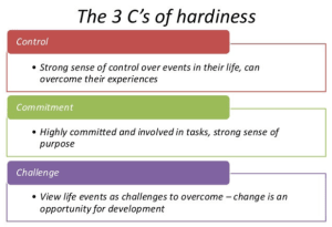 3 Stress Resistant Personality Characteristics: Part 1- Hardiness