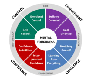 3 Stress Resistant Personality Characteristics: Part 2 - Mental Toughness