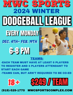 Winter Dodgeball League