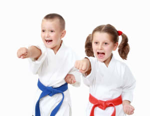 in Levittown - Amerikick Martial Arts