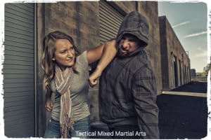 in Lake in the Hills - Tactical Mixed Martial Arts