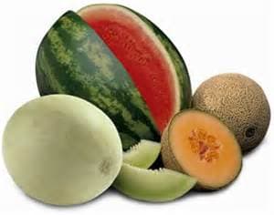 A little about melons