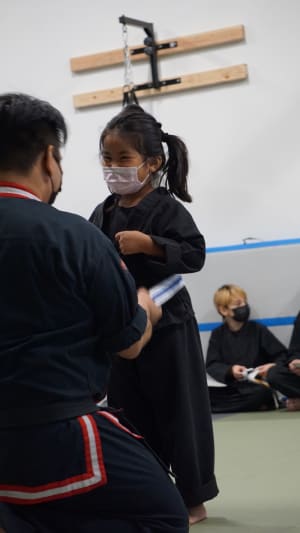 Why do we have testing in Martial Arts? 