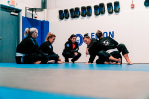 Voices of Women in Jiu Jitsu