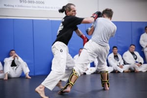 Article: MMA Rules: Basic Rules on Martial Arts Fighting