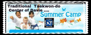 Kids Martial Arts Davie: Summer Camp 2017