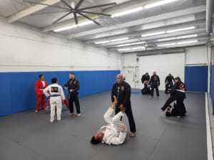 Top Reasons Why Brazilian Jiu jitsu Surpasses Other Martial Arts