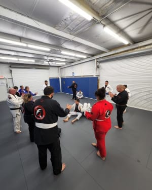 5 Reasons Why BJJ is the Best Martial Art for You