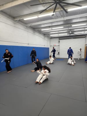 Boosting Your Immune System with BJJ