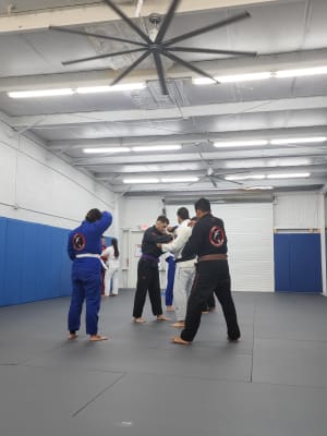 Law Enforcement Officers Turn to Brazilian Jiu-jitsu 