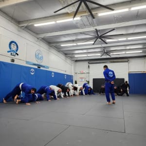 Ways BJJ Helps You Lose Weight