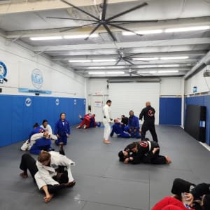 Why Start Brazilian Jiu jitsu in 2023? 