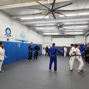 How Brazilian Jiu jitsu Keeps You Fit and Healthy