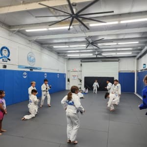 Personal Development of Children in Brazilian Jiu-Jitsu (BJJ)