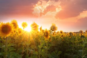 Letting Go to Move Forward