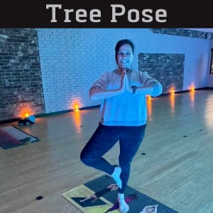 Yoga Poses for Beginners Tree