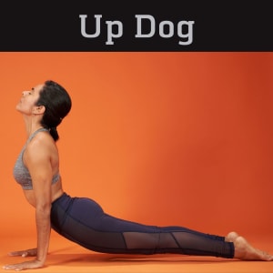 Yoga Poses for Beginners Up Dog