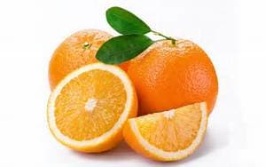 in Newtown - The Dojo Karate Training Center - Orange you glad you read this?
