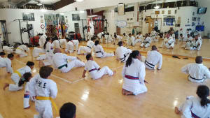Understanding How Martial Arts Reduces Stress | Davie and Cooper Cities
