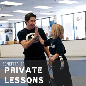 Kids Martial Arts in St. Petersburg - On The Mat Martial Arts - Benefits of Private Lessons