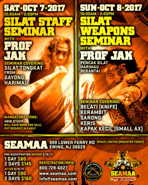 in Ewing - Southeast Asian Martial Arts Academy (SEAMAA)