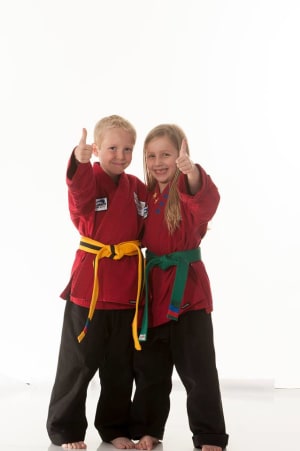 Kids Martial Arts in Troy - Denny Strecker's Karate