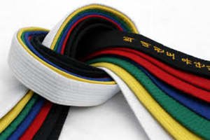 Kids Martial Arts in Troy - Denny Strecker's Karate