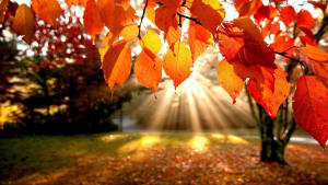 Changing Your Fitness with the Seasons in Spokane