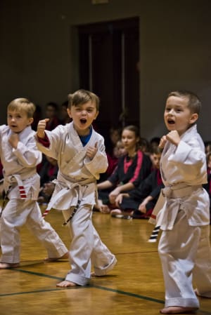 10 Reasons Why Martial Arts is the Best Activity for your Kids