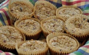 Cranberry Quinoa Mini Muffins