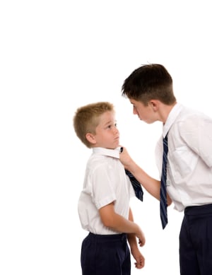 I am a bully and I want to stop