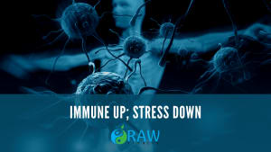 Immunity Up, Stress Down