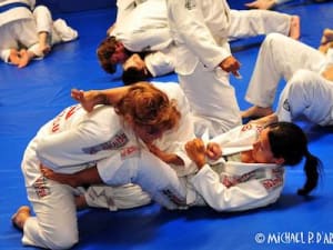 Karate vs. Brazilian Jiu-Jitsu