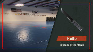 Weapon of the Month - Knife