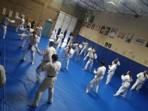 Tae Kwon Do vs. Brazilian Jiu-Jitsu