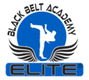 in Paterson - Elite Black Belt Academy - Teaching in 4D