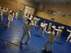 Wing Chun Kung Fu Program