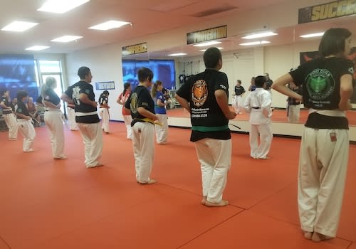 Kids Kung Foo San Soo near Hesperia
