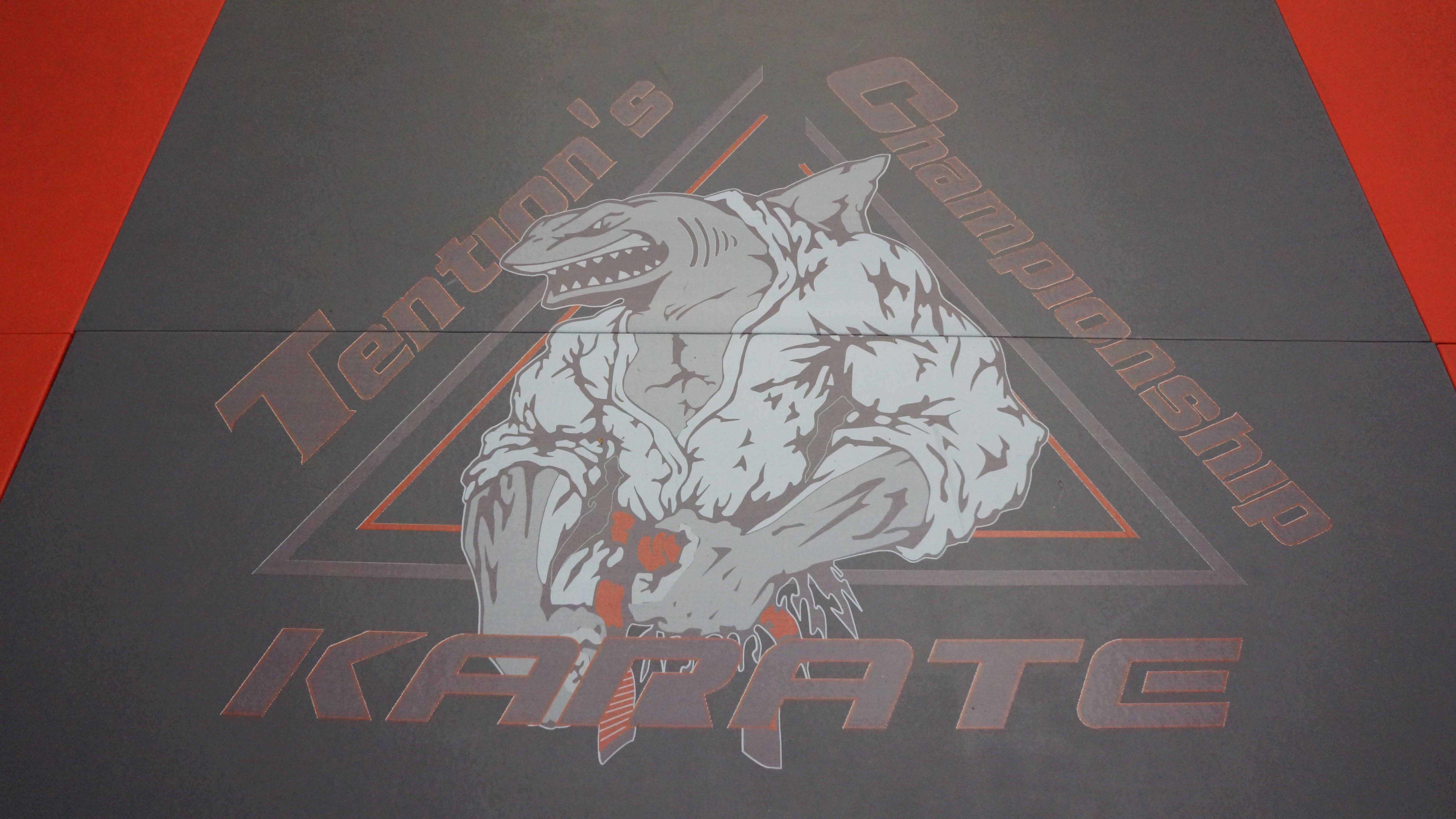 Kids Martial Arts near Bronx